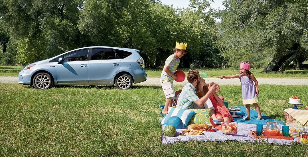 image of a family having a picnic with a Toyota parked on the side