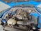 2023 Ford Mustang EcoBoost