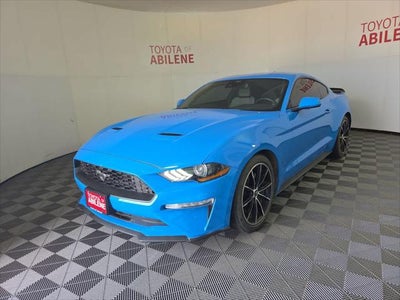 2023 Ford Mustang EcoBoost