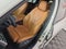 2021 BMW X7 xDrive40i xDrive40i