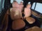2021 BMW X7 xDrive40i xDrive40i