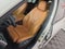 2021 BMW X7 xDrive40i xDrive40i