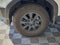 2025 Toyota Land Cruiser 4WD (Natl)