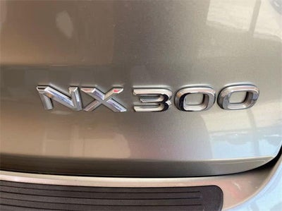 2021 Lexus NX 300 NX 300