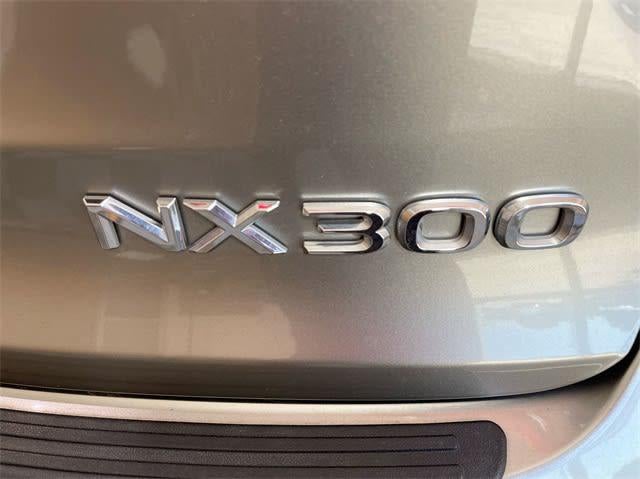 2021 Lexus NX 300 NX 300