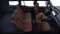 2027 Toyota Land Cruiser 4WD (Natl)